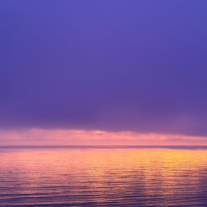 Vivian在哪里12|让GP募的更容易，让LP管的更专业。2026年市场水温如何？和易募创始人聊聊他的创业故事