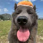 小雨粥xyz