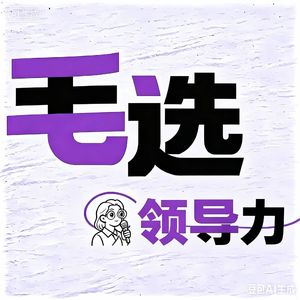 Vol.53 毛选笔记⑤ | 领导力的技术与艺术