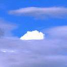 陈很稳定主任已疯