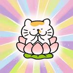小7的小宇宙