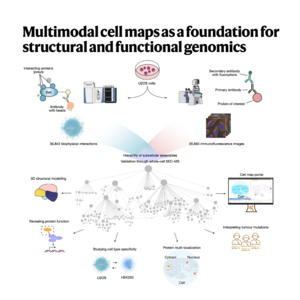 252-Multiscale Integrated Cell Map of Protein Assemblies