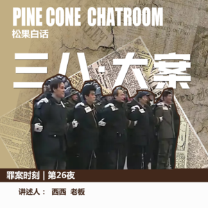 35.罪案时刻|全民追缉:辽宁省三八·大案