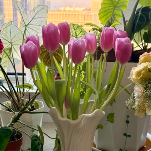 #53 其实你可以不那么选 You Can Choose Otherwise