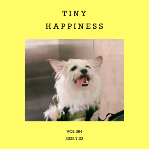 vol.364：微不足道，也是小小欢喜～