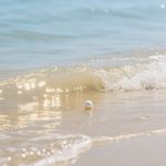 水滢金玉