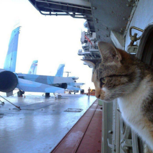 福建舰为啥没上核动力