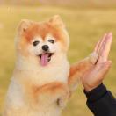 王磊_j7mt