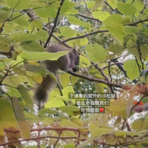 和失去对抗的一生