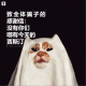 三好乱弹 - 《致全体骗子的感谢信：没有你们，哪有今天的贾斯汀》