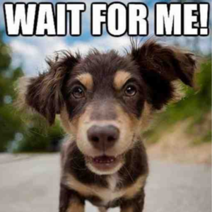 对话 | 我想 庆祝我们平凡地变老