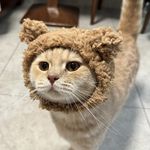 Debbie-
