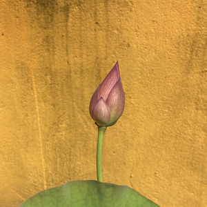 禅与摩托车维修艺术14 - 理性教堂