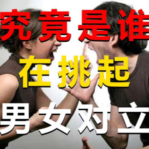 闲聊#E136|聊聊男权女权对立的流量现象