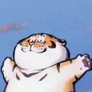 种花家垚垚垚坤坤坤坤