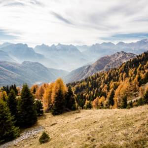 EP33 利用聚合因子库预测崩盘风险