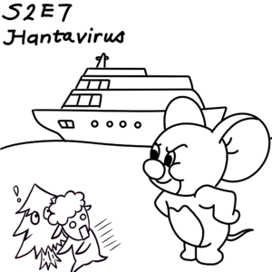 S2E7. 汉坦病毒知识点速通