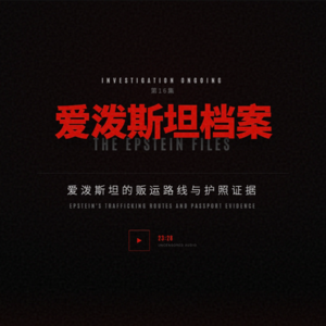 爱泼斯坦档案16：爱泼斯坦的贩运路线与护照证据