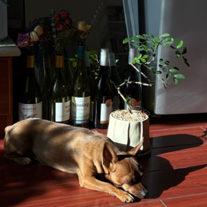 Vol.3 向下的年终总结：被求神拜佛、工作痛苦、生活焦虑、退步下行贯穿的2024