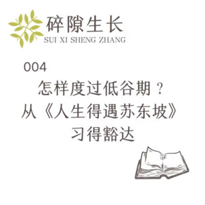 004 怎样度过低谷期?从《人生得遇苏东坡》习得豁达