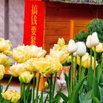 投资不是从「有钱」开始，而是从会「用钱」开始