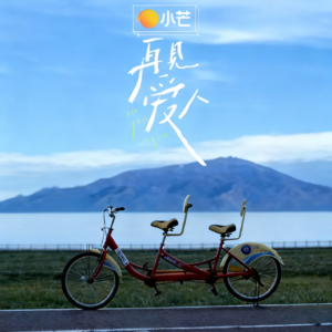 v11.《再见爱人5》第三集|倪萍蔡明 “大姨支招”:亲密关系的核心是尊重与共赢