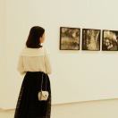 橘子不是唯一的水果m