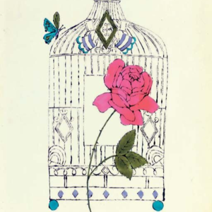 Vol.055 别再给庄国栋贴金了 ｜带着觉察看玫瑰的故事