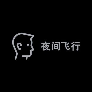 夜間飛行