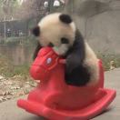 七肢桶_同轴电缆