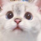 爱探险的八八九九