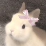 Nanasak
