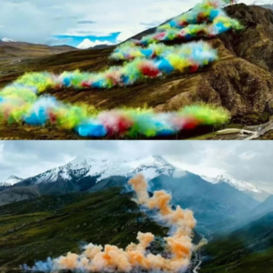 前瞻钱瞻434. 始祖鸟& 蔡国强 一世英明,却合计出“升龙”灾难级的生态破害之品牌营销案例