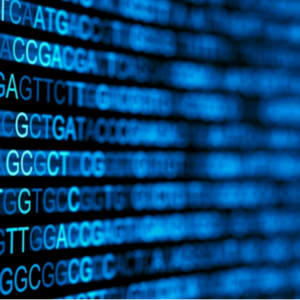 生统爱好者周刊（第 4 期）：一辈子动手做实验的科学家