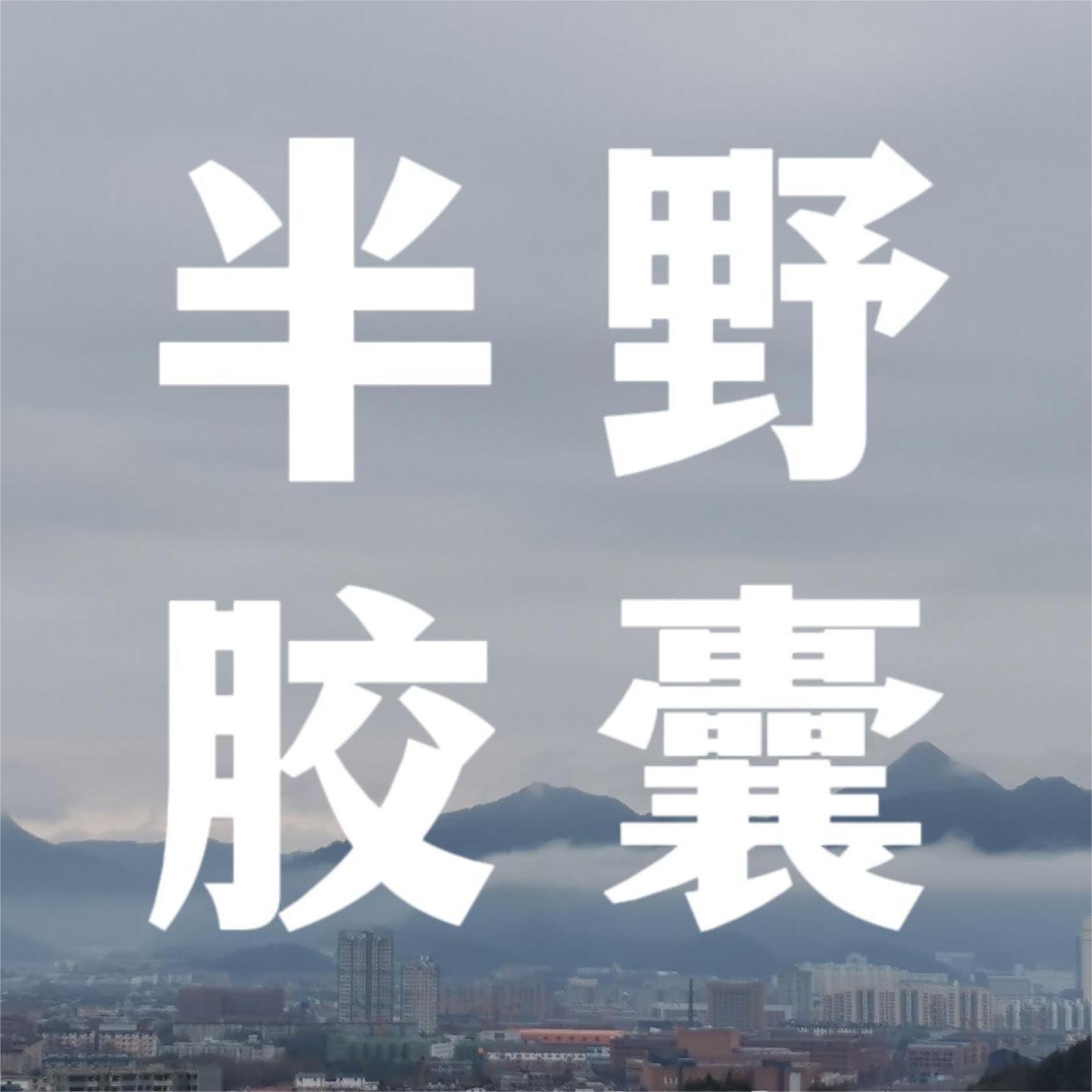 半野胶囊
