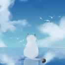 散步的猫