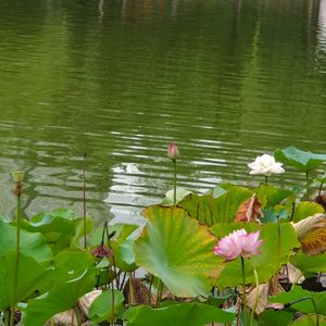 悉达多 婆罗门之子 2026-02-01 15:18