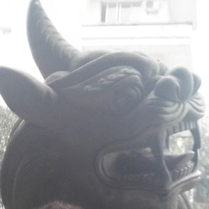 老桃没毛