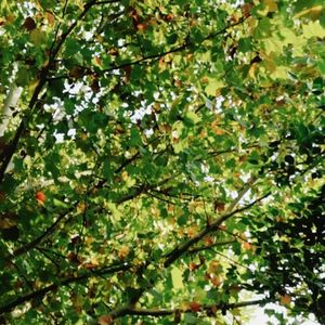 1《简爱》第一章 盖茨黑德府