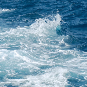 女性感情闭坑指南《上海女子图鉴》大翻红！！！！大解析！！！