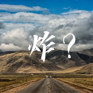 03-自私、狂妄、谎言与装傻充愣：对蔡国强、始祖鸟的纯粹批评