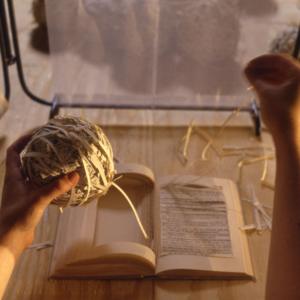 01 范文婧:只读女作者这件事是可能的