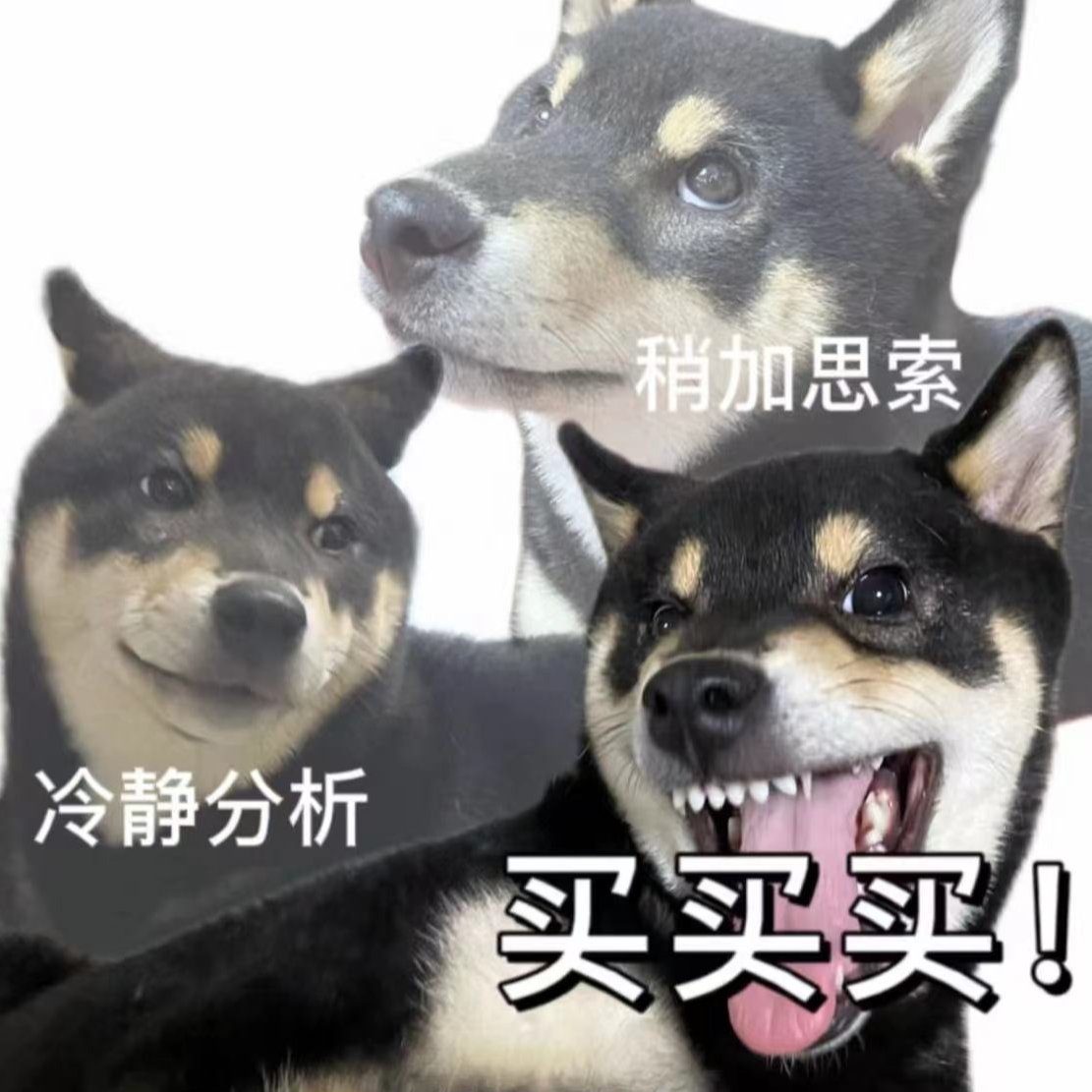 16. 双十一拔草指南！这些智商税不买立省百分百 episode artwork