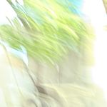 忽忽短撅撅
