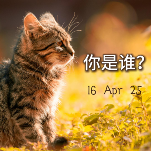 自体整合：个体如何形成稳定的“自我”？