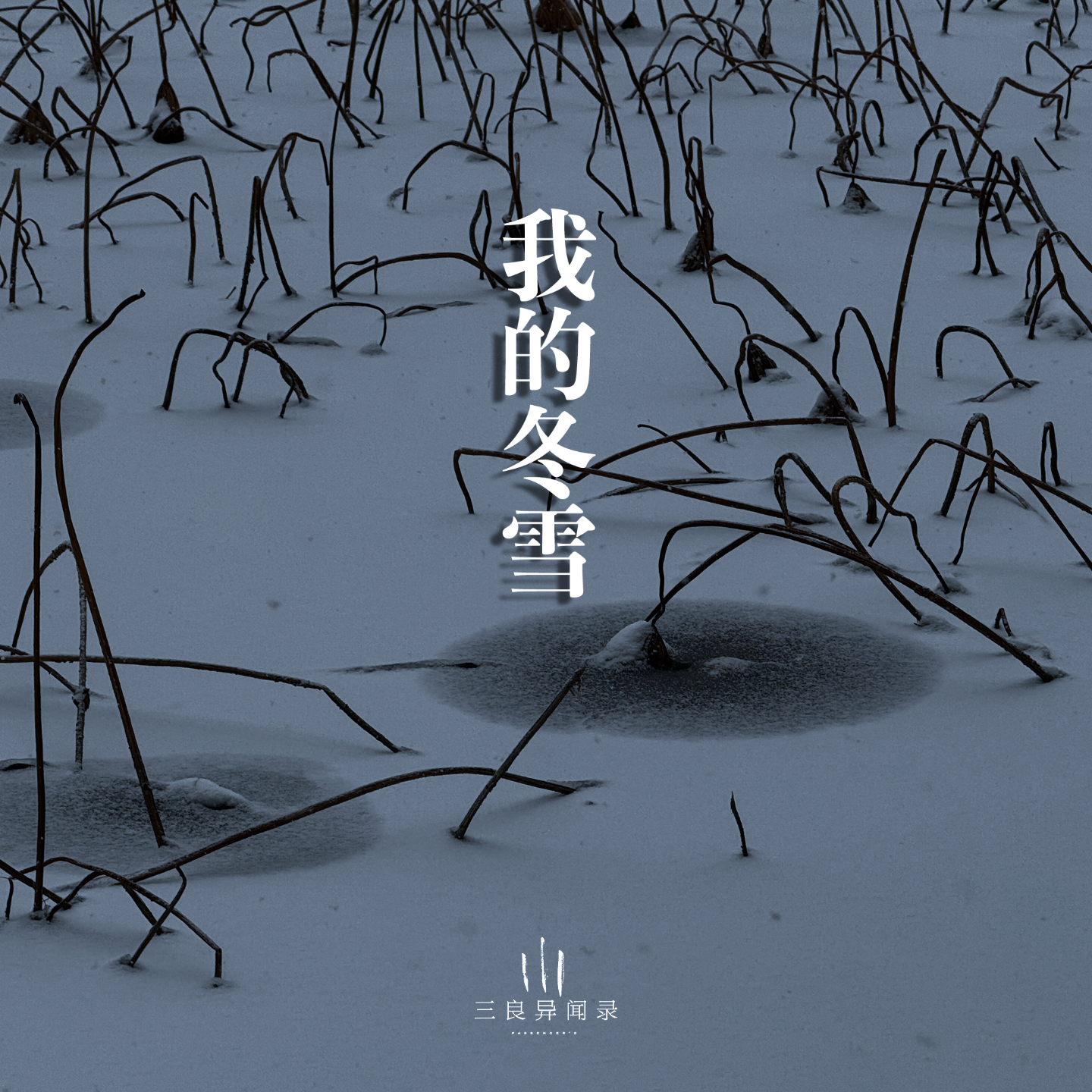 【随笔】我的冬雪 episode artwork