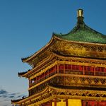 秧光