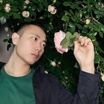法狮张张张