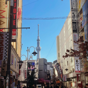 15. 日本的衣食住行与就业