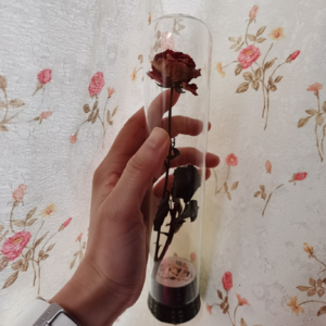 刚刚做梦哭醒了